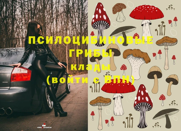 скорость Алексин