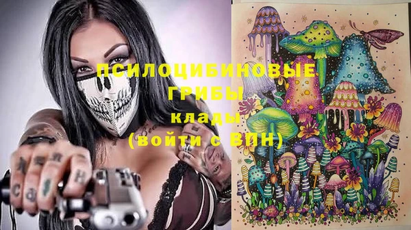 spice Аркадак