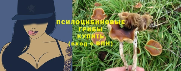 спиды Арсеньев